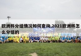 欧洲杯分组情况如何查询,2021欧洲杯怎么分组的