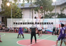 罗本还参加欧洲杯吗,罗本还在国家队吗