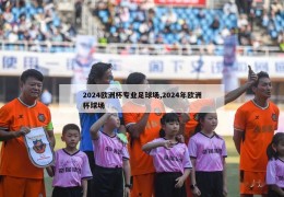 2024欧洲杯专业足球场,2024年欧洲杯球场