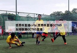 世界杯直播cctv,世界杯直播CCTV5女排联赛CCTV5直播