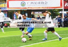 2024欧洲杯在哪里举行比赛,2024欧洲杯百度百科