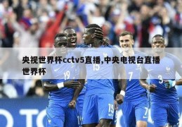 央视世界杯cctv5直播,中央电视台直播世界杯