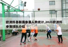 欧洲杯各联赛参赛人数统计,2021欧洲杯参赛球队介绍