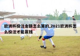 欧洲杯投注金额怎么算的,2021欧洲杯怎么投注才能赢钱