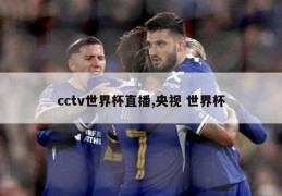 cctv世界杯直播,央视 世界杯