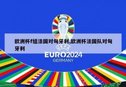 欧洲杯f组法国对匈牙利,欧洲杯法国队对匈牙利