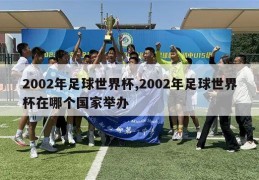 2002年足球世界杯,2002年足球世界杯在哪个国家举办