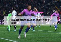 2024欧洲杯锦集,2024欧洲杯在哪个国家