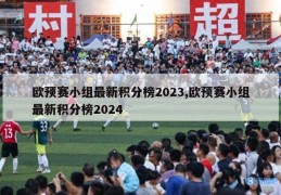 欧预赛小组最新积分榜2023,欧预赛小组最新积分榜2024