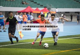 2024黄健翔解说欧洲杯,黄健翔解说2021欧洲杯