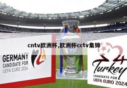 cntv欧洲杯,欧洲杯cctv集锦