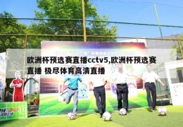 欧洲杯预选赛直播cctv5,欧洲杯预选赛直播 极尽体育高清直播