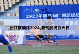 张路欧洲杯2024,张鹭解析欧洲杯