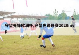 守望先锋欧洲杯,守望先锋联赛2020mvp