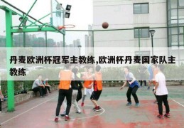 丹麦欧洲杯冠军主教练,欧洲杯丹麦国家队主教练