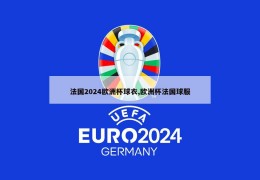 法国2024欧洲杯球衣,欧洲杯法国球服