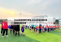 2024年欧洲杯球场,2024年欧洲杯球场观众砸东西