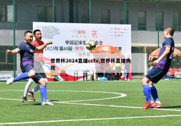 世界杯2024直播cctv,世界杯直播央视