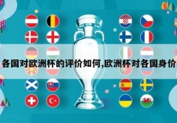 各国对欧洲杯的评价如何,欧洲杯对各国身价