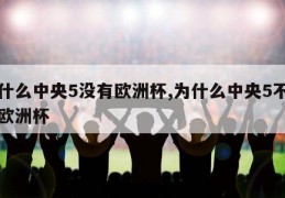 为什么中央5没有欧洲杯,为什么中央5不转播欧洲杯