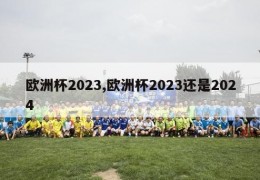 欧洲杯2023,欧洲杯2023还是2024