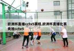 欧洲杯直播cctv5赛程,欧洲杯直播比赛央视cctv5