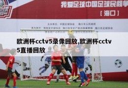 欧洲杯cctv5录像回放,欧洲杯cctv5直播回放