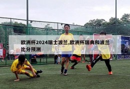 欧洲杯2024瑞士波兰,欧洲杯瑞典和波兰比分预测