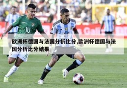 欧洲杯德国与法国分析比分,欧洲杯德国与法国分析比分结果