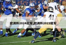 欧洲杯2024冠军,欧洲杯2022冠军