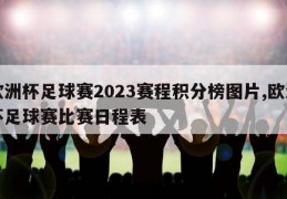 欧洲杯足球赛2023赛程积分榜图片,欧洲杯足球赛比赛日程表