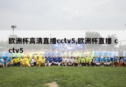 欧洲杯高清直播cctv5,欧洲杯直播 cctv5