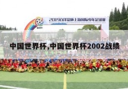 中国世界杯,中国世界杯2002战绩