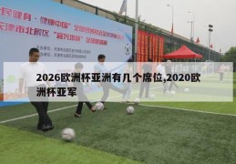 2026欧洲杯亚洲有几个席位,2020欧洲杯亚军