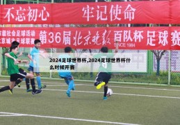 2024足球世界杯,2024足球世界杯什么时候开赛